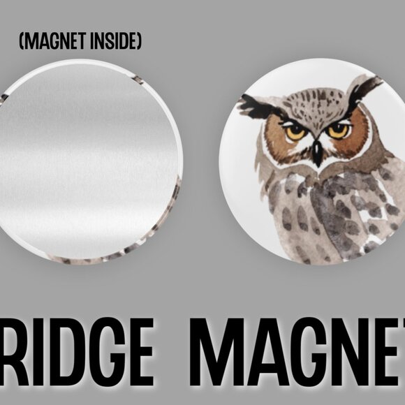 Watercolor Owl Fridge Magnets Set Of 6 Metal Magnets Home Office Kitchen School - Picture 3 of 6